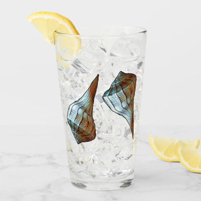 Seashells Glass (Front Ice)