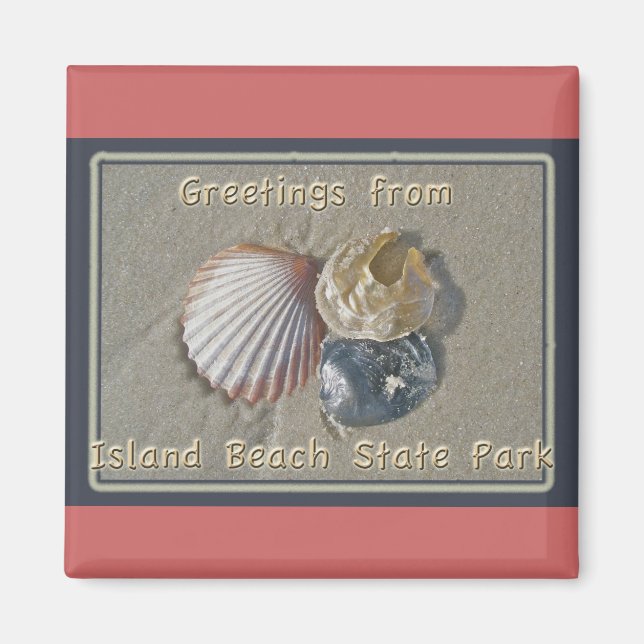 Seashells Greetings From IBSP Seaside Park NJ Magnet (Front)