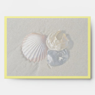 Seashells Happy Birthday Coordinating Items Envelope