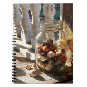 Seashells in Rustic Jar Notebook