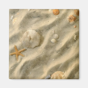 Seashells In Sand Magnet