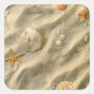 Seashells In Sand Square Sticker