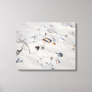 Seashells in the Sand Colour 16x20 Canvas Print