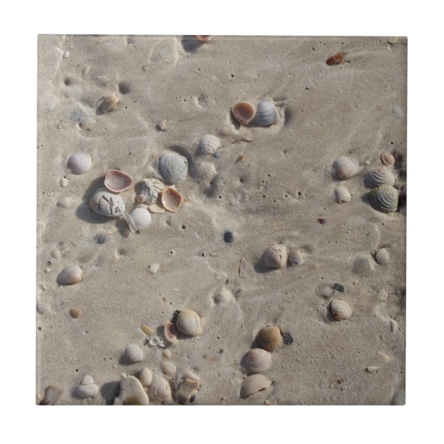 Seashells in the Wet Sand Ceramic Tile (Front)