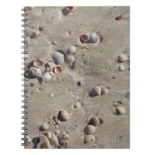 Seashells in the Wet Sand Notebook
