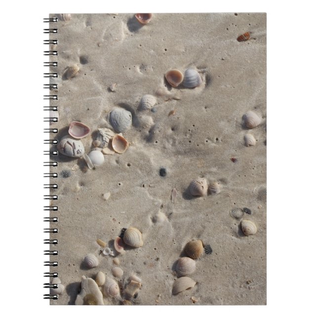 Seashells in the Wet Sand Notebook (Front)