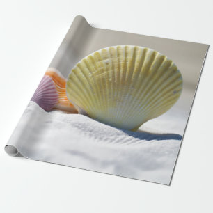 Seashells in White Sand Wrapping Paper