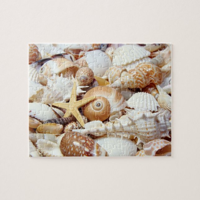 Seashells Jigsaw Puzzle (Horizontal)