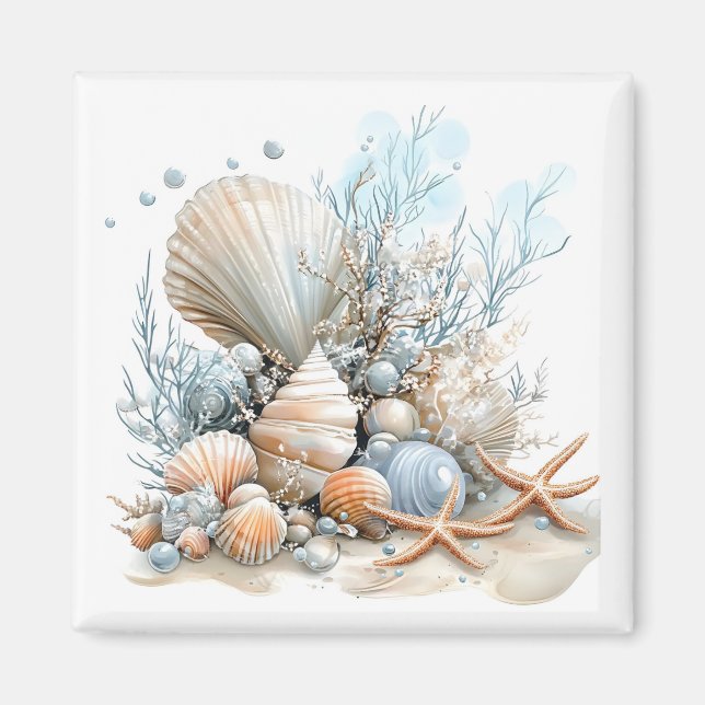 Seashells Magnet   (Front)