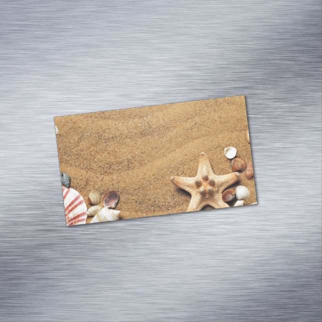 Seashells Magnetic Business Card (In Situ)