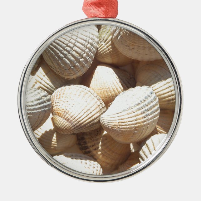 Seashells Metal Ornament (Front)