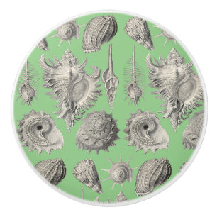 Seashells Nautical Beach Shells Mint Green White Ceramic Knob