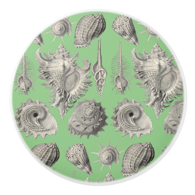 Seashells Nautical Beach Shells Mint Green White Ceramic Knob (Front)