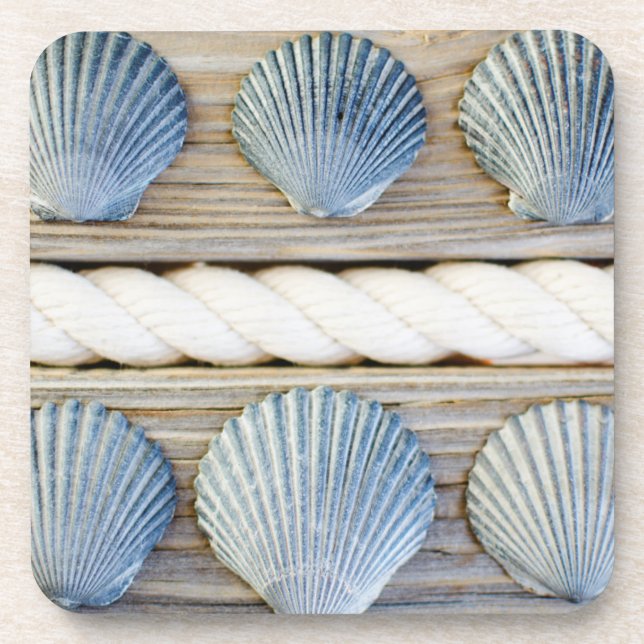 Seashells | New York City Coaster (Front)