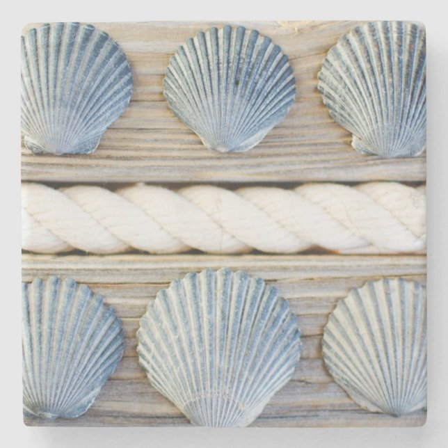 Seashells | New York City Stone Coaster (Front)