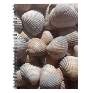 Seashells Notebook