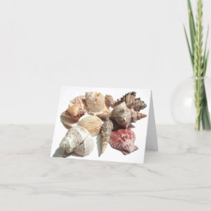 Seashells Notecard