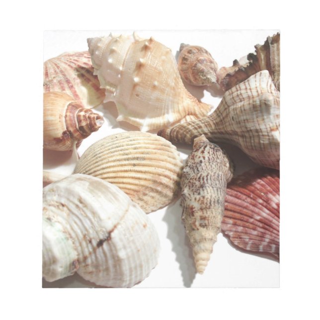Seashells Notepad (Front)