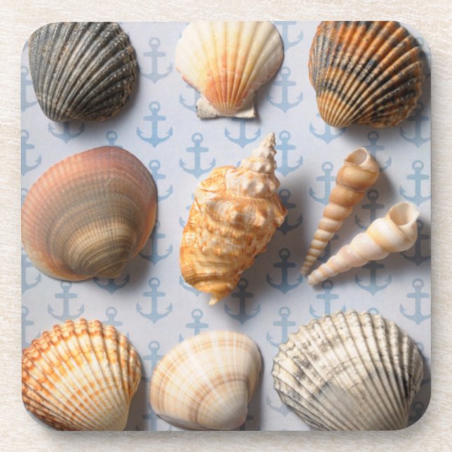 Seashells On Anchor Backdrop Coaster (Front)