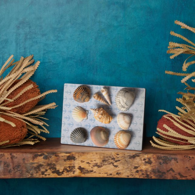 Seashells On Anchor Backdrop Plaque (Side)