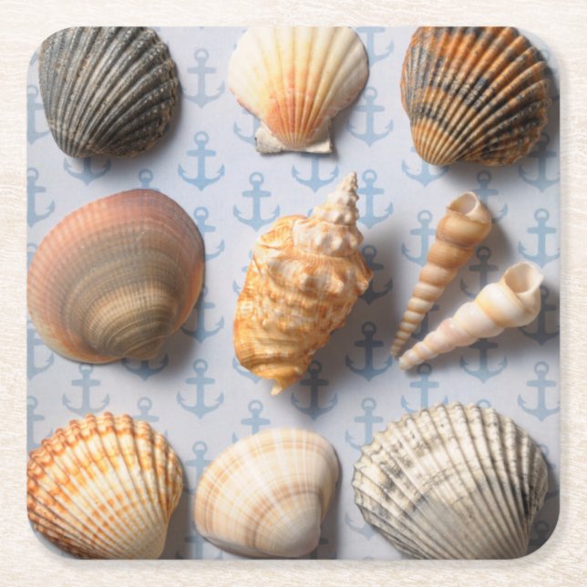 Seashells On Anchor Backdrop Square Paper Coaster (Front)