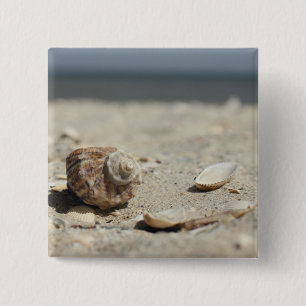 Seashells On Sand By The Sea 15 Cm Square Badge