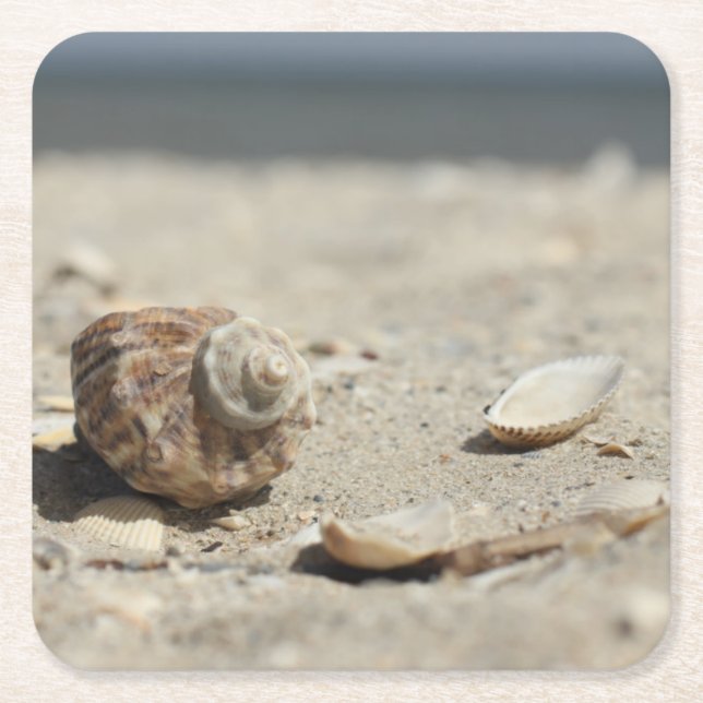 Seashells On Sand By The Sea Square Paper Coaster (Front)