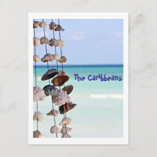 seashells on sea background postcard