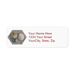 Seashells on the Beach Address Label Return Address Label