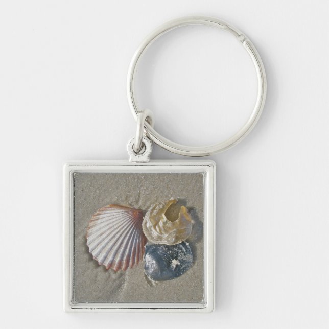 Seashells on the Beach Business Card Key Ring (Front)