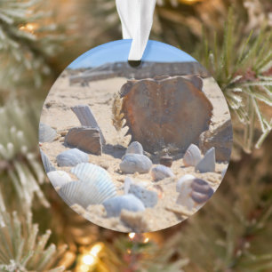 Seashells on the Beach by Shirley Taylor Ornament