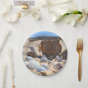 Seashells on the Beach by Shirley Taylor Paper Plate