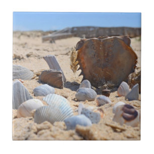 Seashells On The Beach by Shirley Taylor Tile