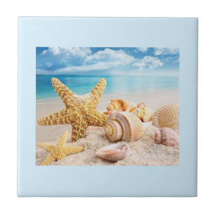 Seashells on the beach ceramic tile