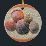 Seashells on the Beach Christmas Ornaments<br><div class="desc">The incoming tide carries treasures to the beach,  then leaves them there for beachcombers to find.</div>