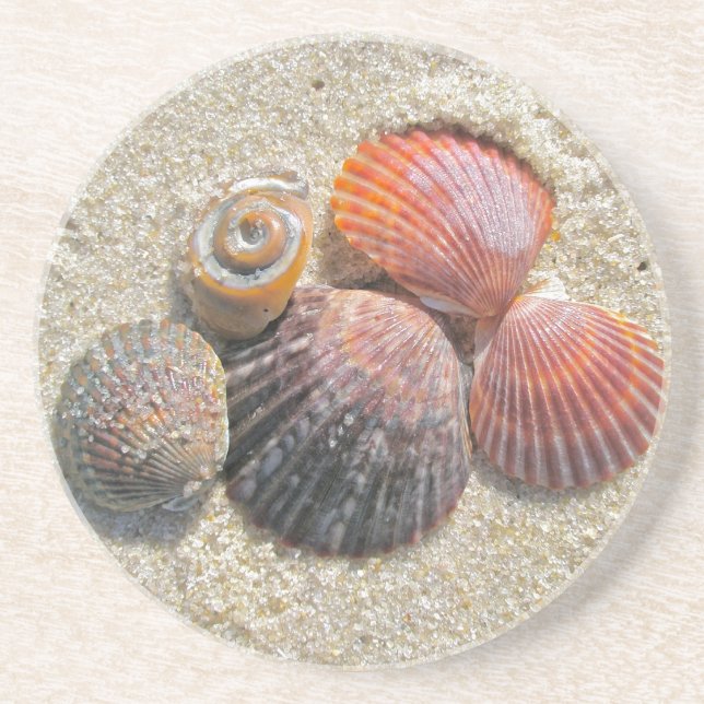Seashells on the Beach Coaster (Front)