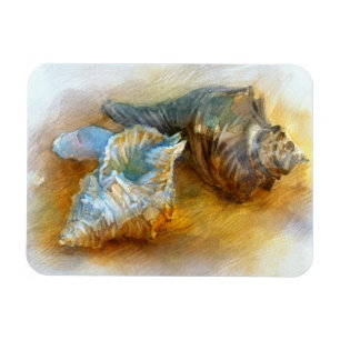 Seashells on the beach magnet