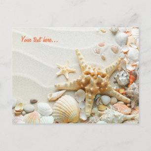 Seashells on the beach postcard