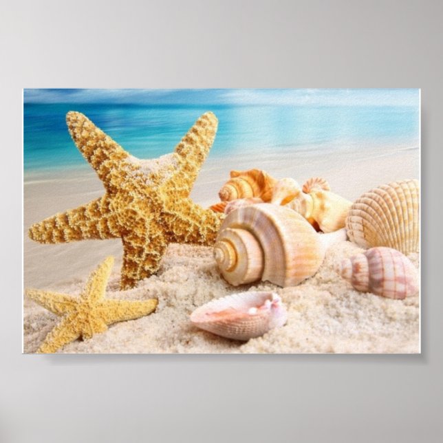 Seashells on the beach poster (Front)