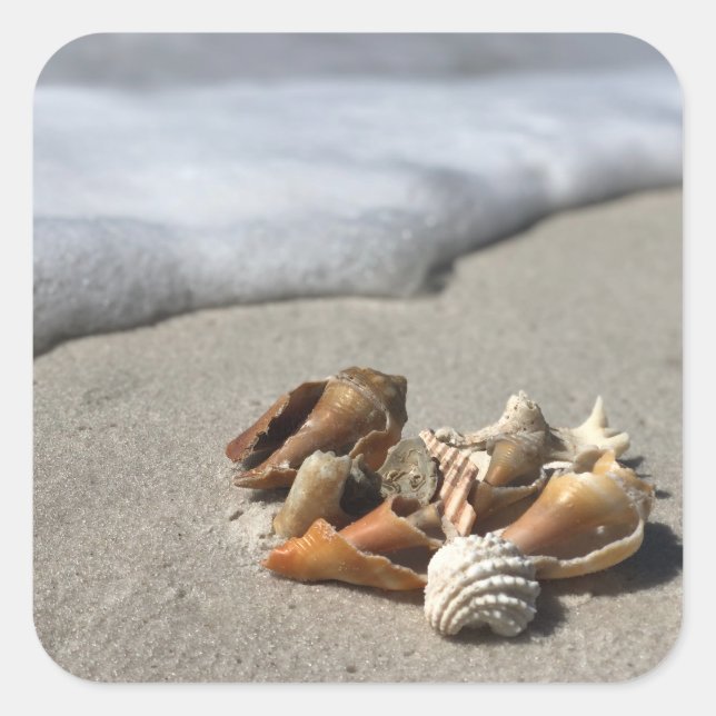 Seashells on the Beach  Square Sticker (Front)