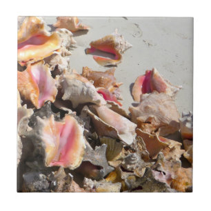 Seashells on the Beach Turks and Caicos Photo Tile
