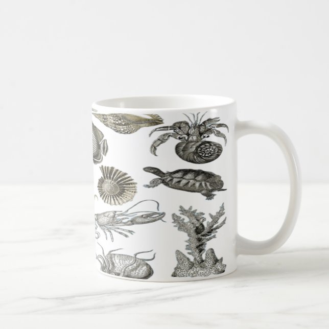 Seashells on the Seashore Coffee Mug (Right)