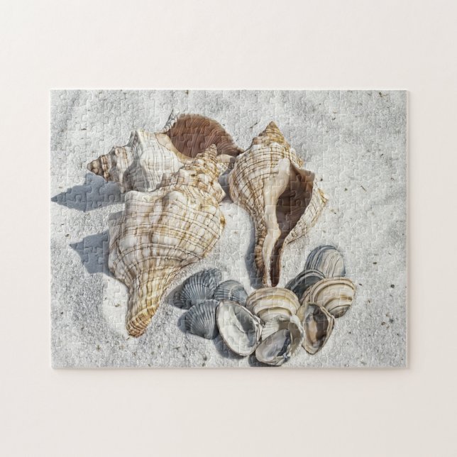 Seashells on the White Sant Beach  Jigsaw Puzzle (Horizontal)