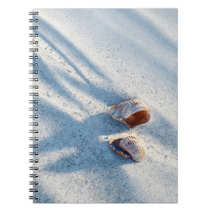 Seashells on White Sand Notebook
