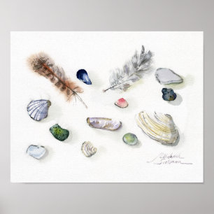 Seashells Pebbles and Feathers Watercolor Poster