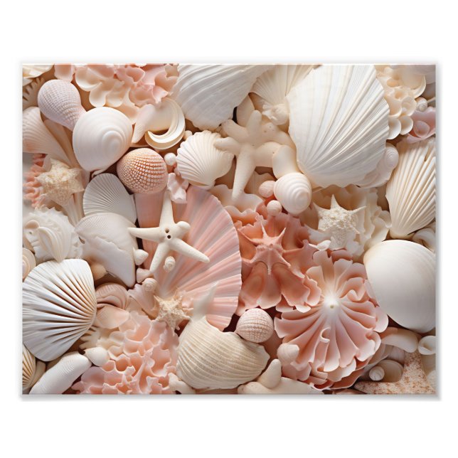 Seashells Photo Print (Front)