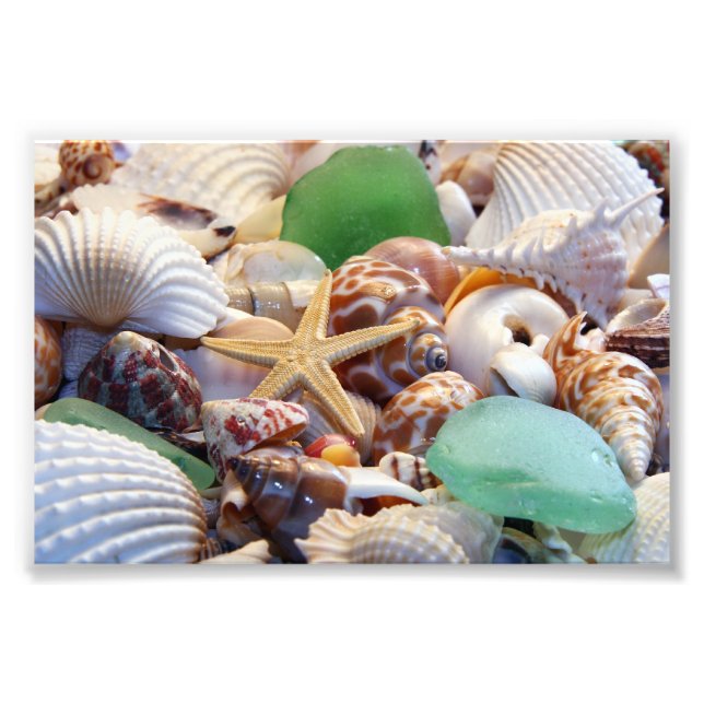 Seashells Photo Prints (Front)