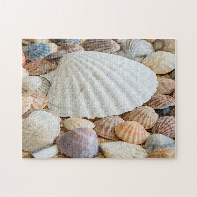 Seashells Photo Puzzle (Horizontal)