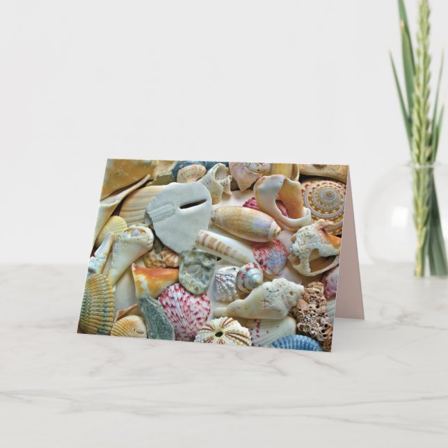 Seashells Photography Blank Note Cards (Front)