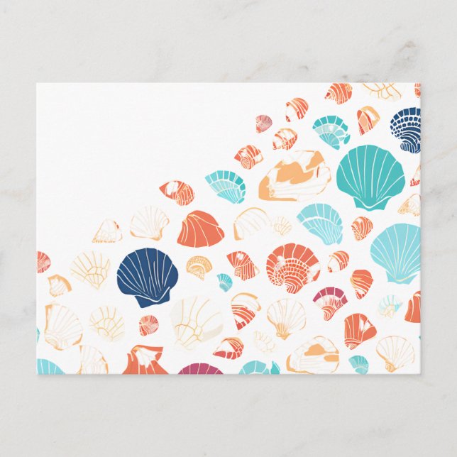 Seashells Postcard (Front)